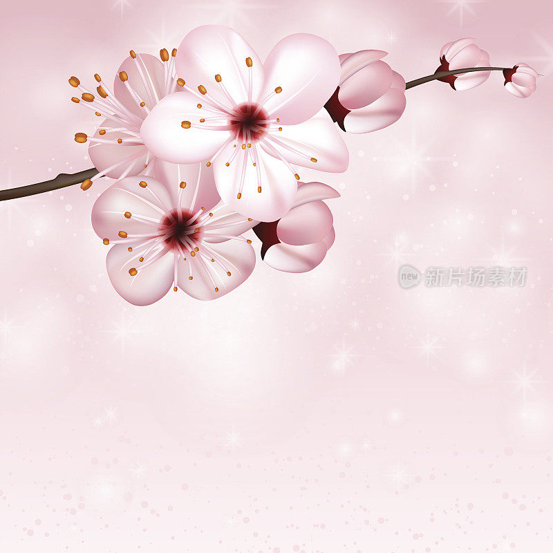 春天的背景是粉红色的花朵。向量3 d演示。美丽的春花横幅、海报、传单。春天开花的苹果树。近枝，花瓣以玫瑰散景为背景。
